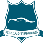 Wuhan Jiangda W